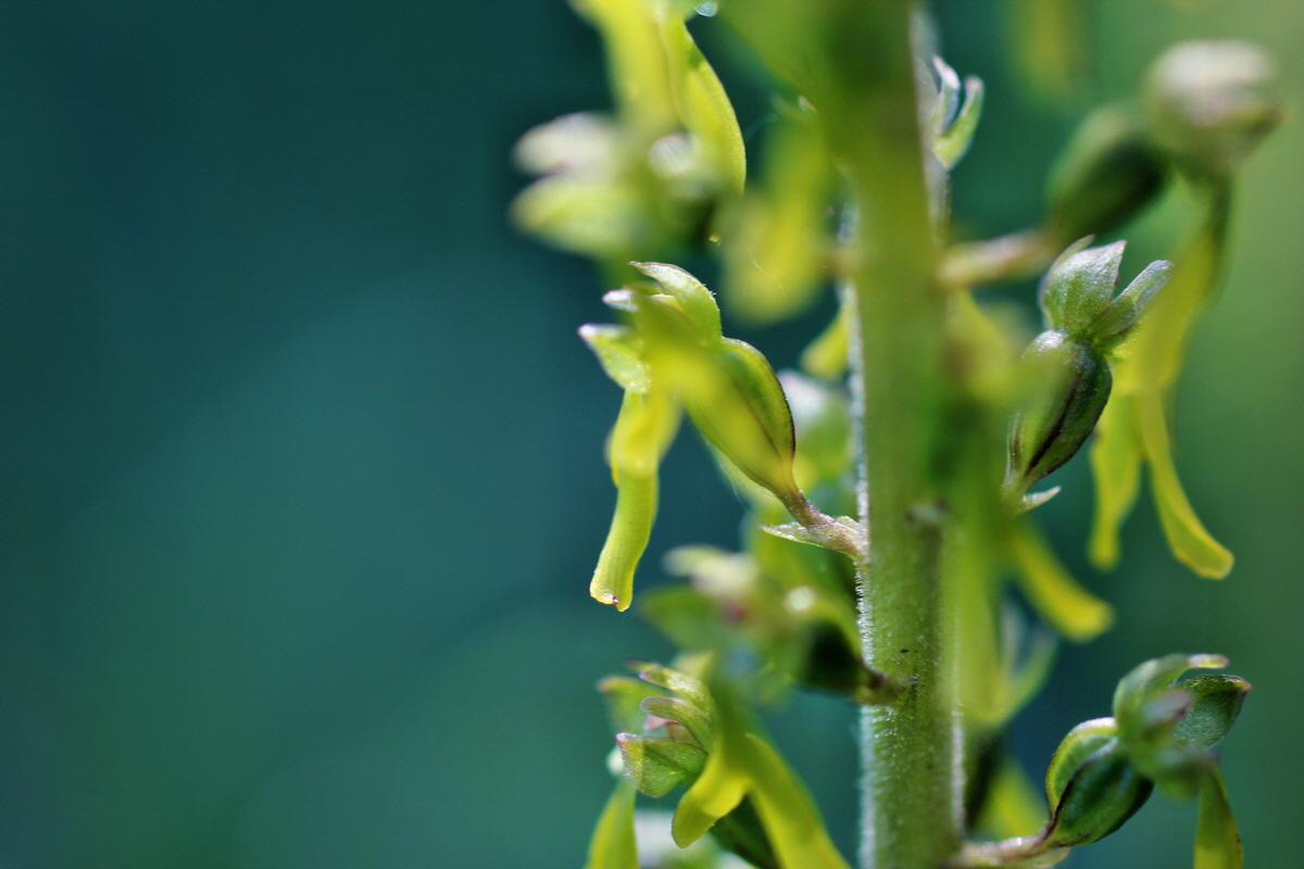 2014_05_22_00043450p_Bildgr��e �ndern