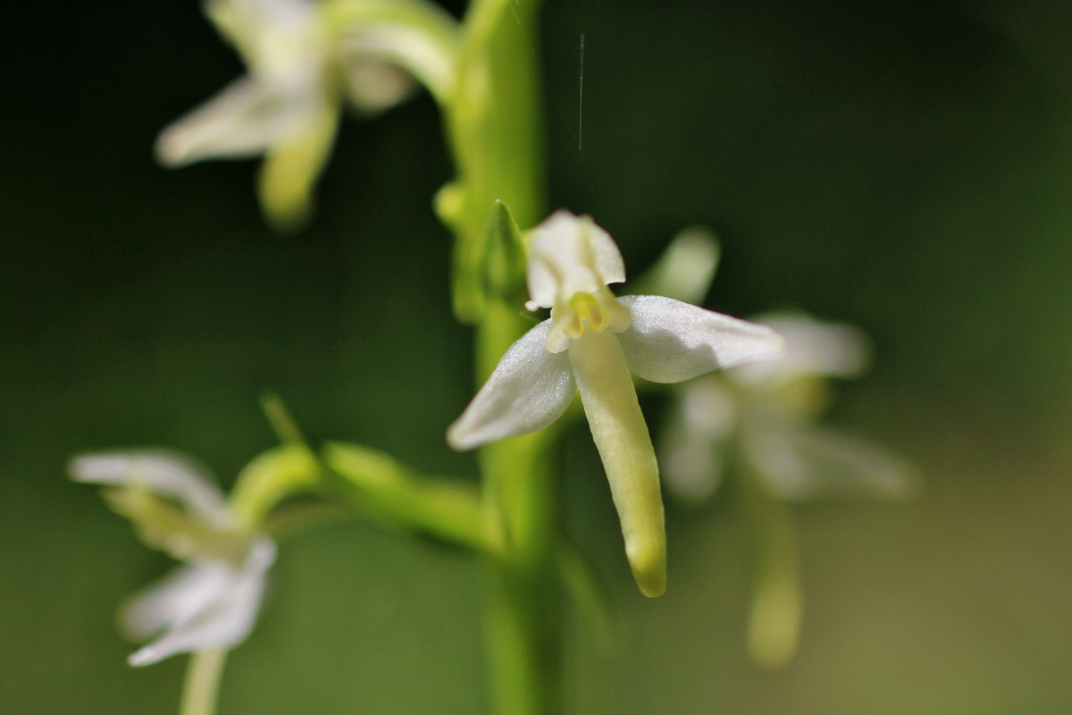 2014_05_22_00043459p_Bildgr��e �ndern