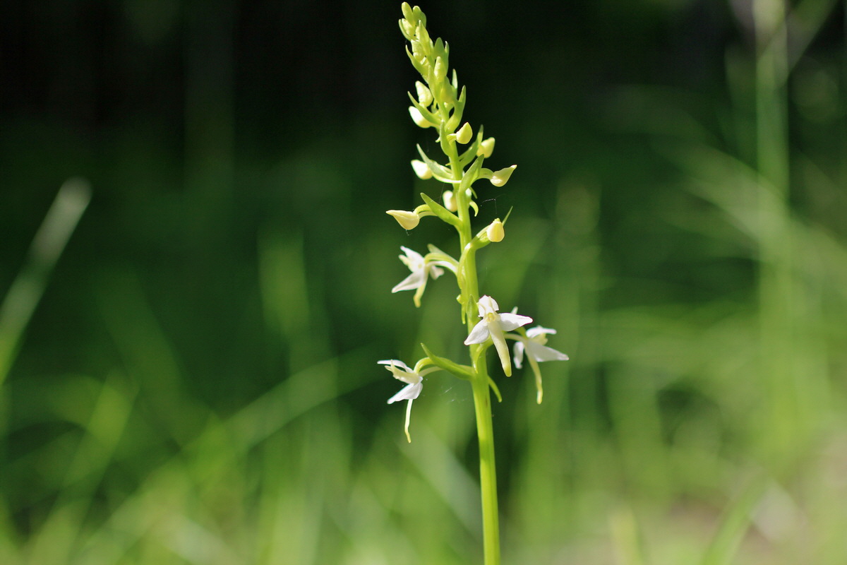 2014_05_22_00043463p_Bildgr��e �ndern