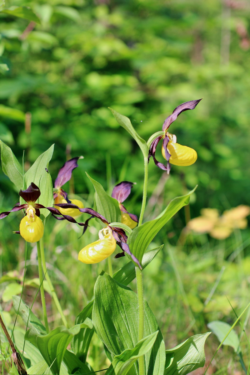 2014_05_22_00043475p_Bildgr��e �ndern