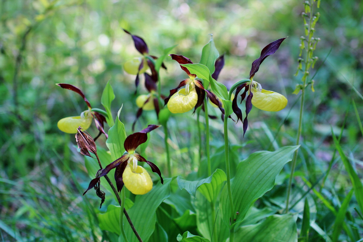 2014_05_22_00043481p_Bildgr��e �ndern