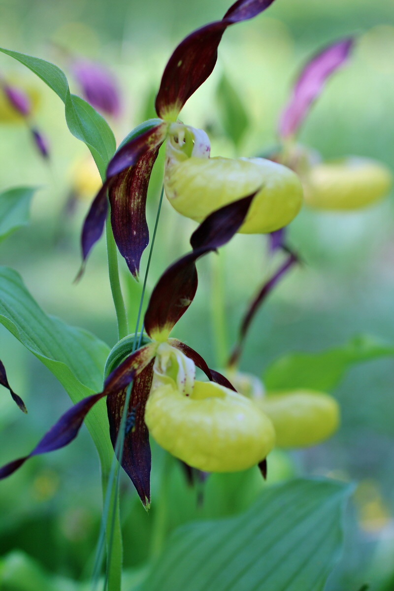 2014_05_22_00043492p_Bildgr��e �ndern