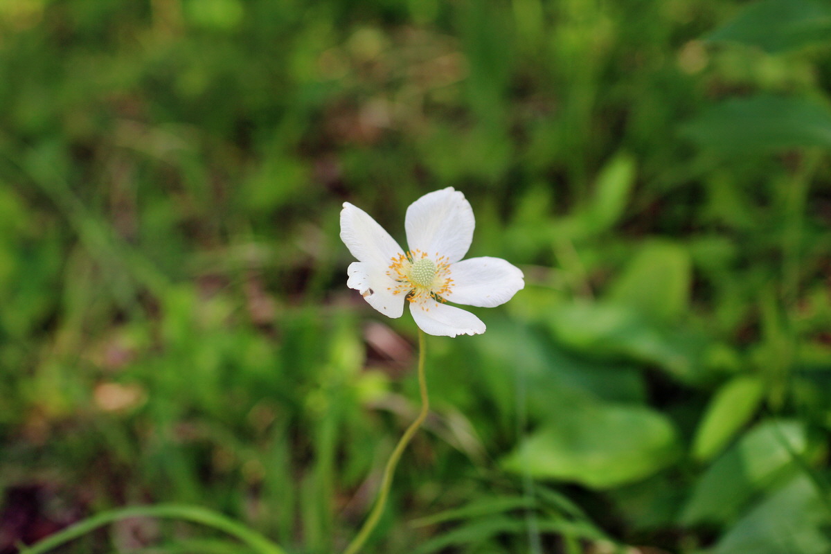 2014_05_22_00043498p_Bildgr��e �ndern