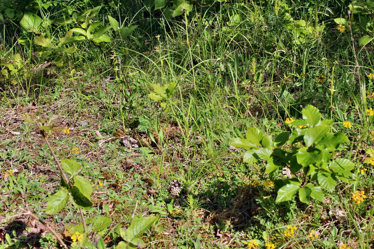 2014_05_22_00043501p_Bildgr��e �ndern