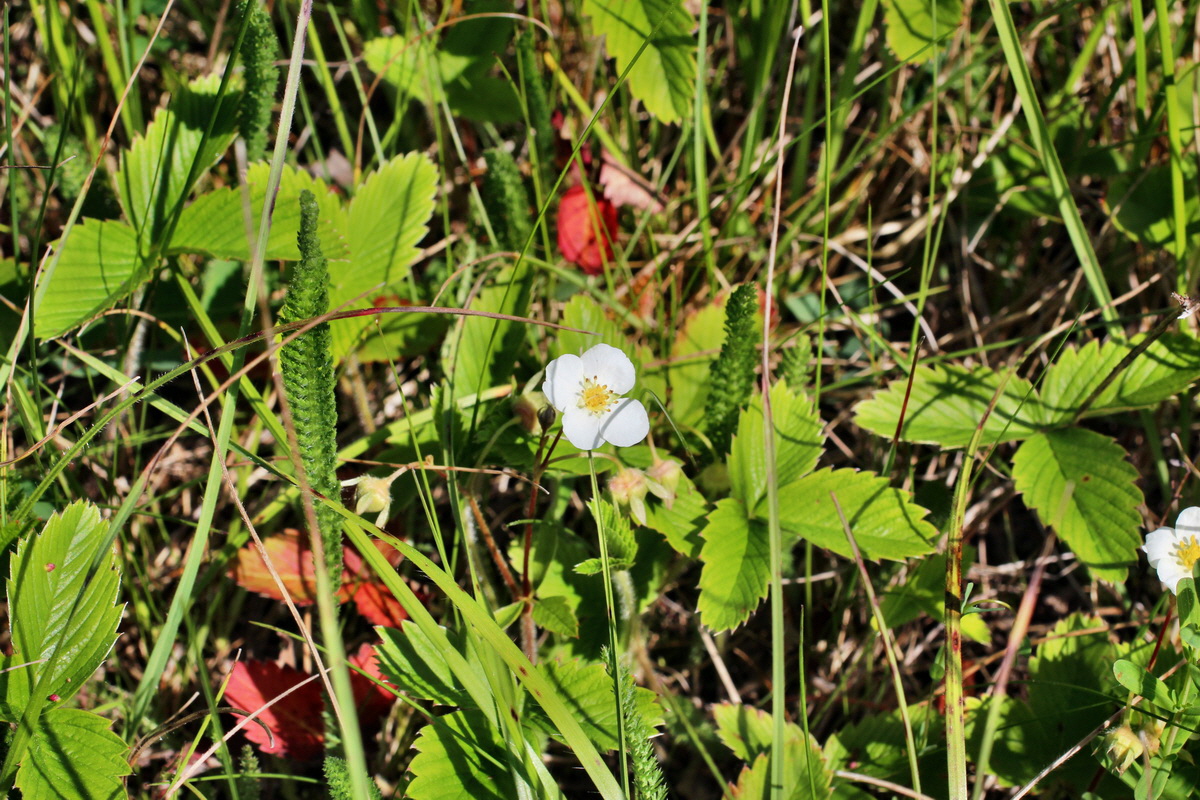 2014_05_22_00043504p_Bildgr��e �ndern