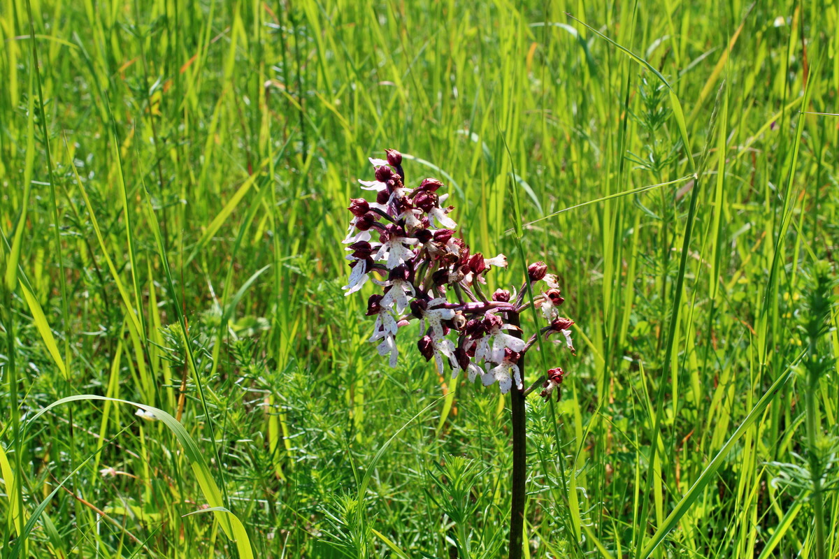 2014_05_22_00043508p_Bildgr��e �ndern