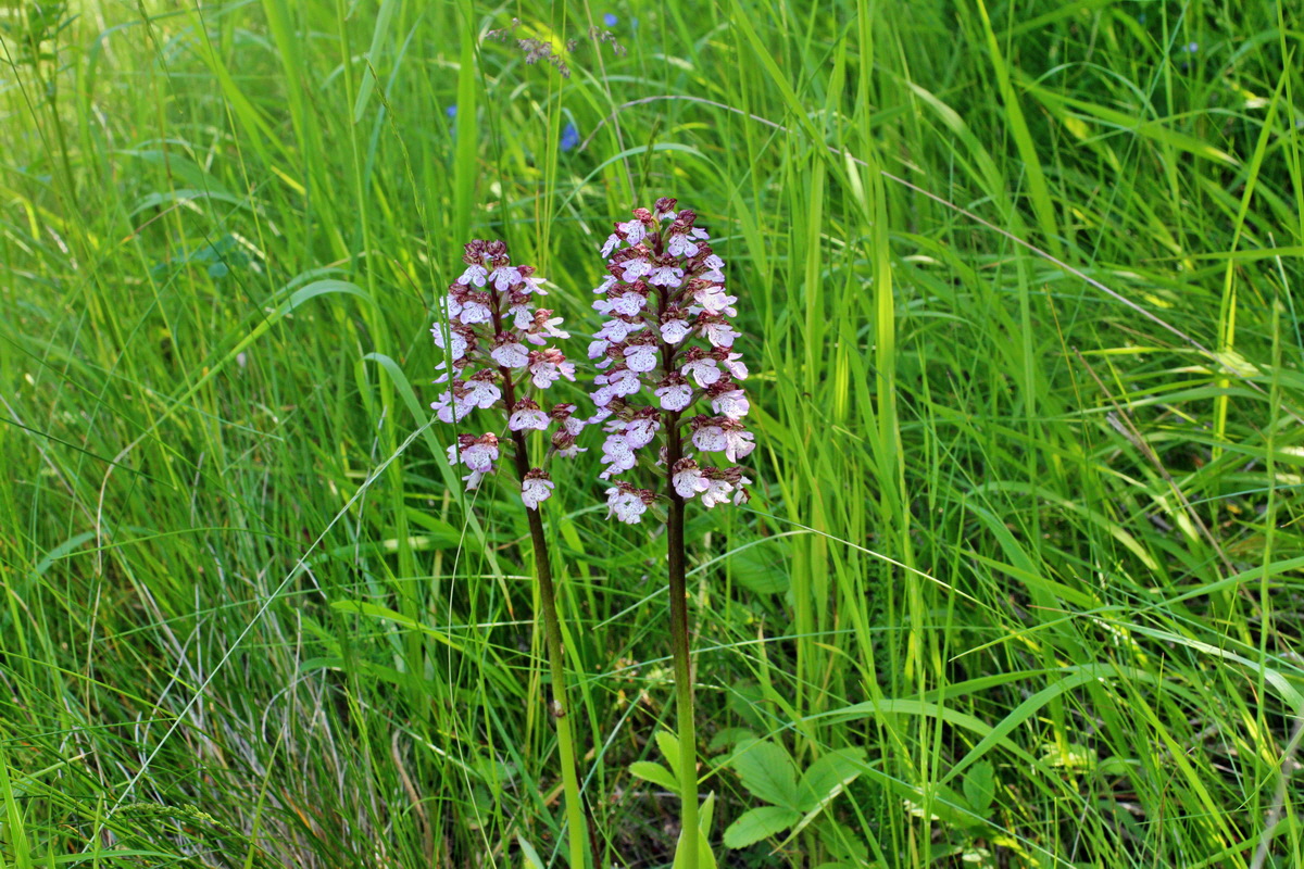 2014_05_22_00043512p_Bildgr��e �ndern