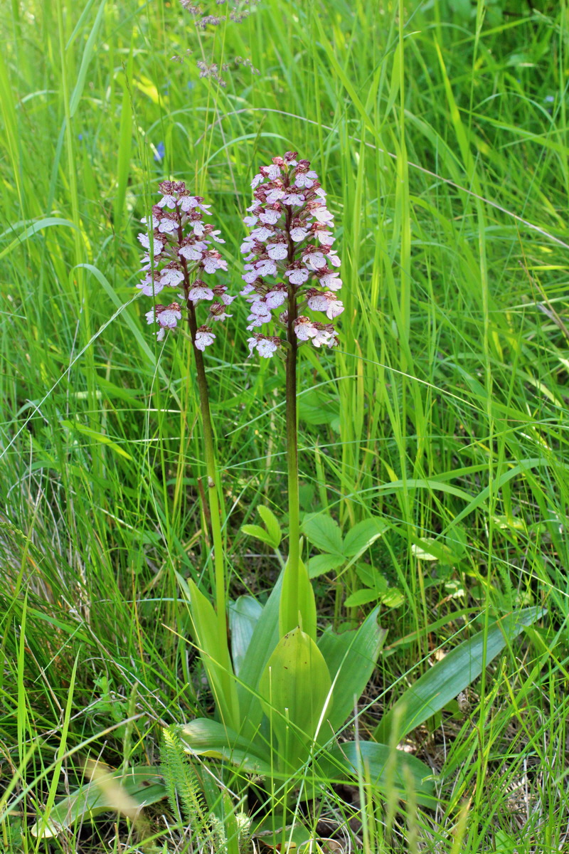 2014_05_22_00043516p_Bildgr��e �ndern