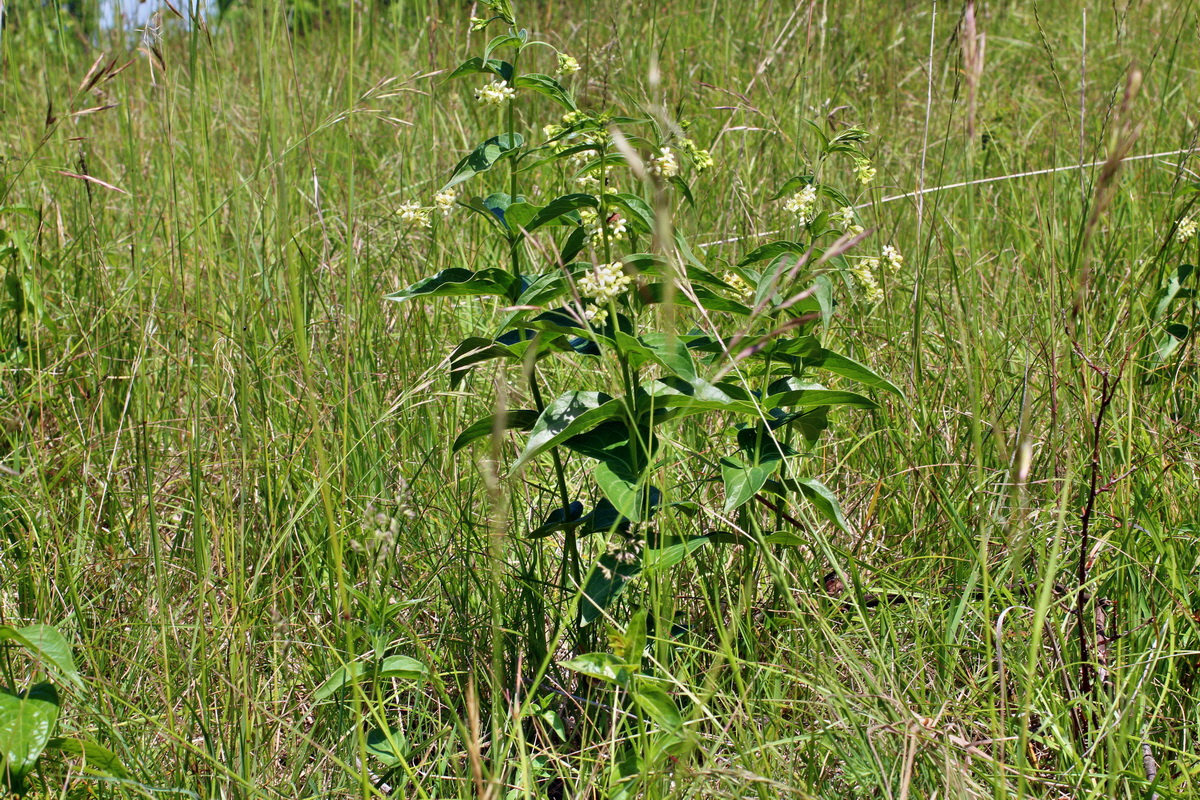 2014_05_22_00043518p_Bildgr��e �ndern