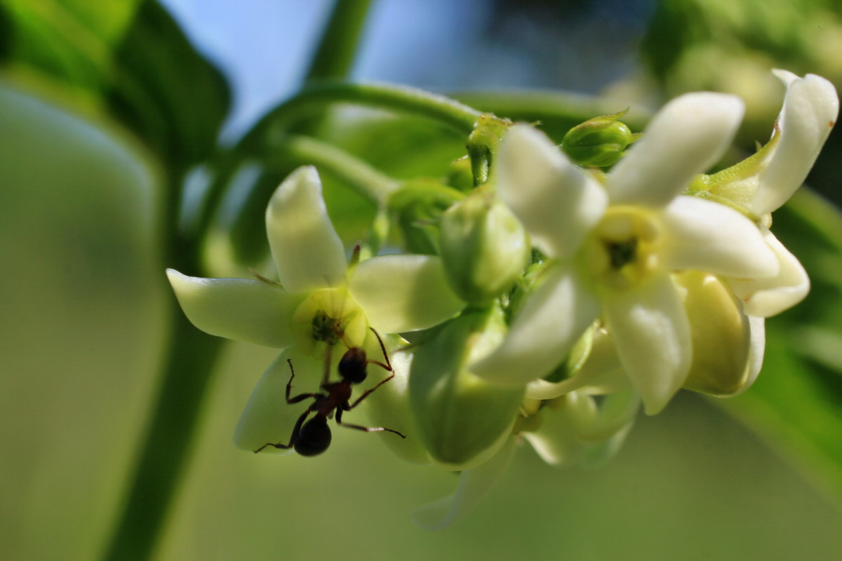 2014_05_22_00043521p_Bildgr��e �ndern