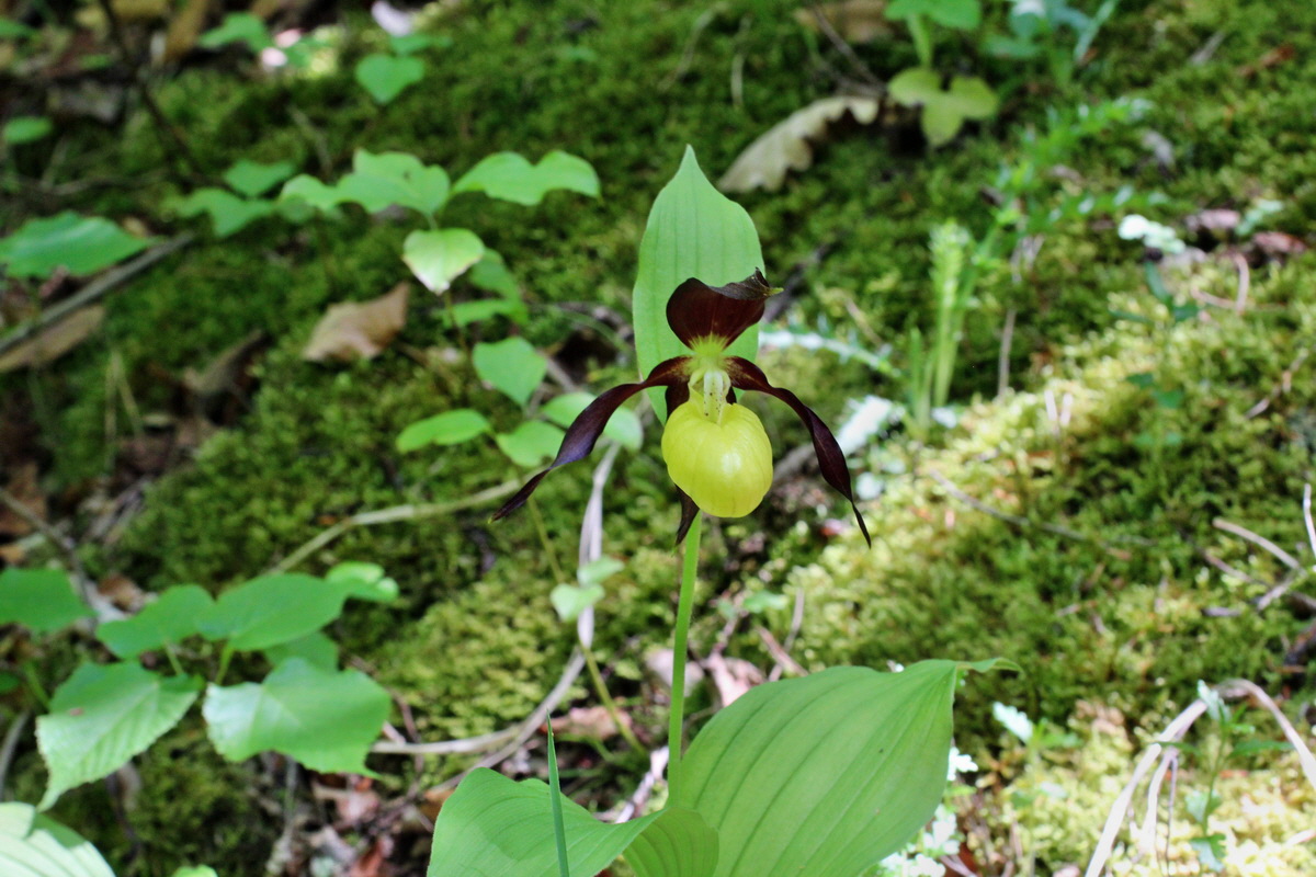 2014_05_22_00043553p_Bildgr��e �ndern