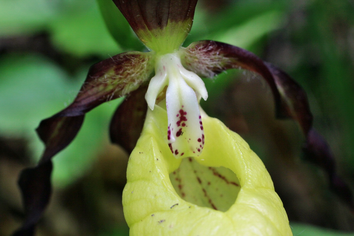 2014_05_22_00043555p_Bildgr��e �ndern