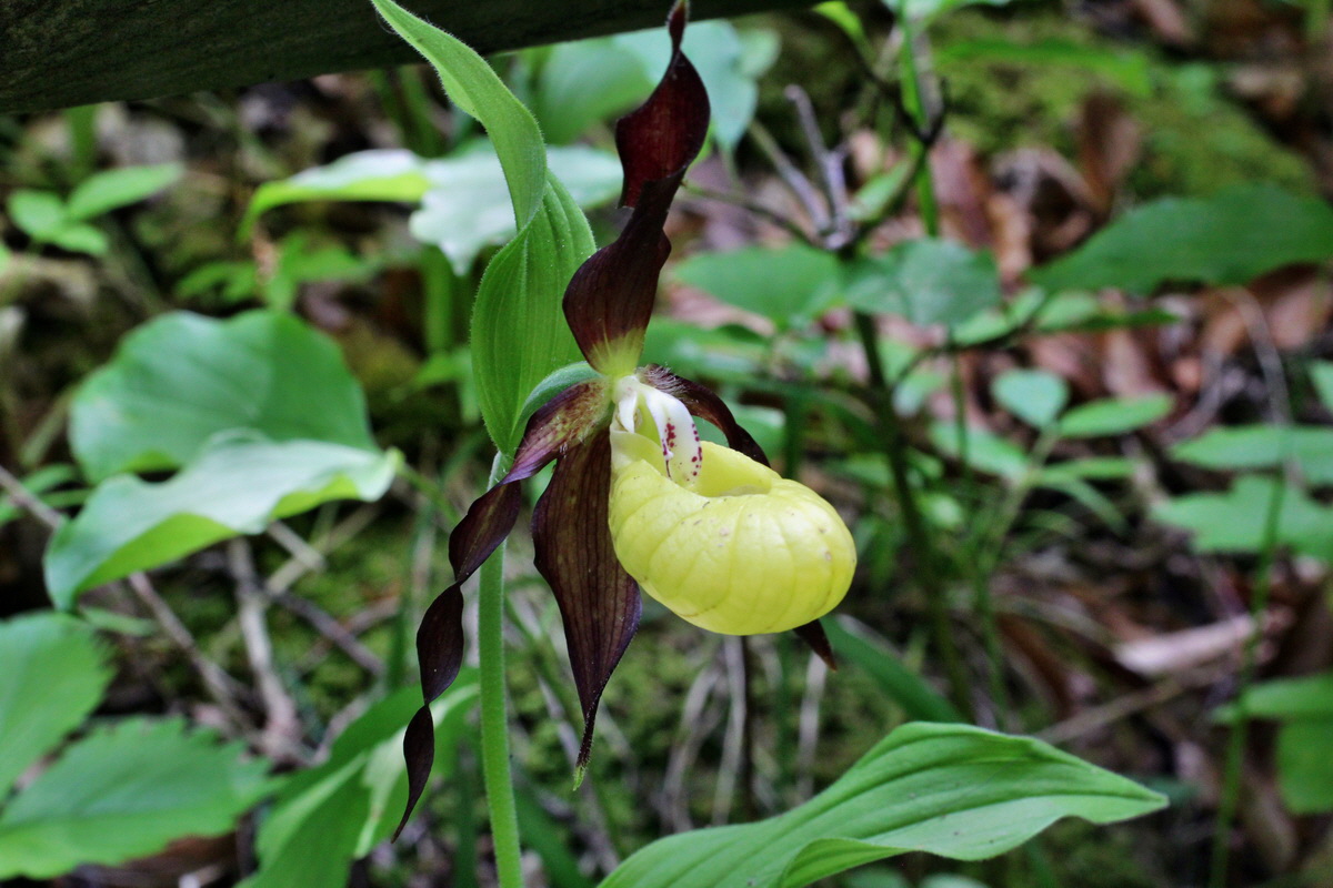 2014_05_22_00043558p_Bildgr��e �ndern