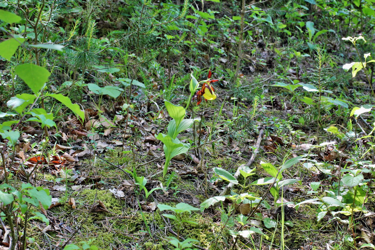 2014_05_22_00043563p_Bildgr��e �ndern