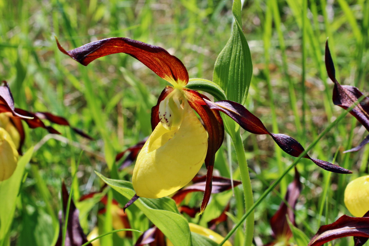 2014_05_22_00043566p_Bildgr��e �ndern