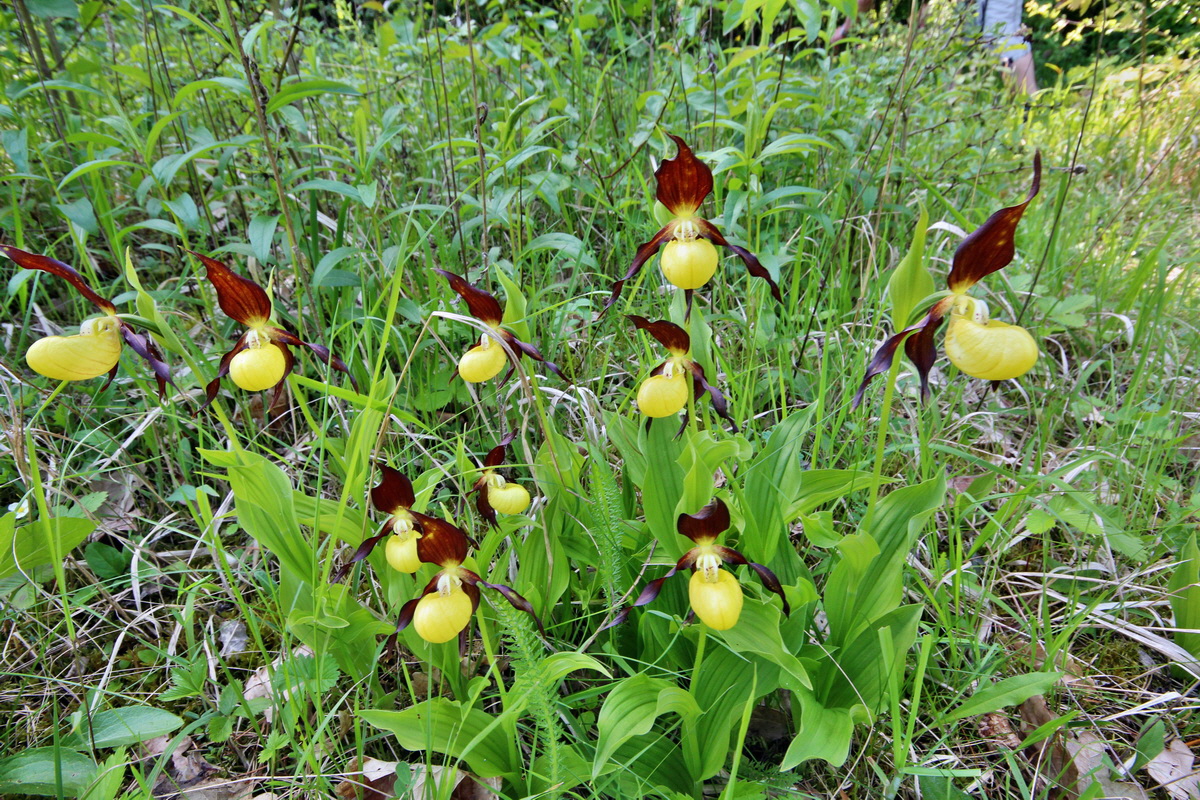 2014_05_22_00043571p_Bildgr��e �ndern