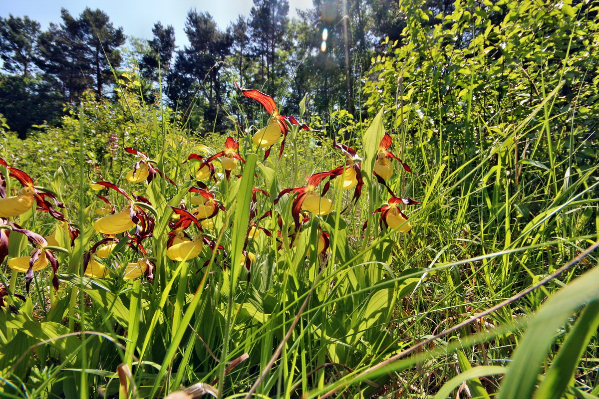 2014_05_22_00043579p_Bildgr��e �ndern