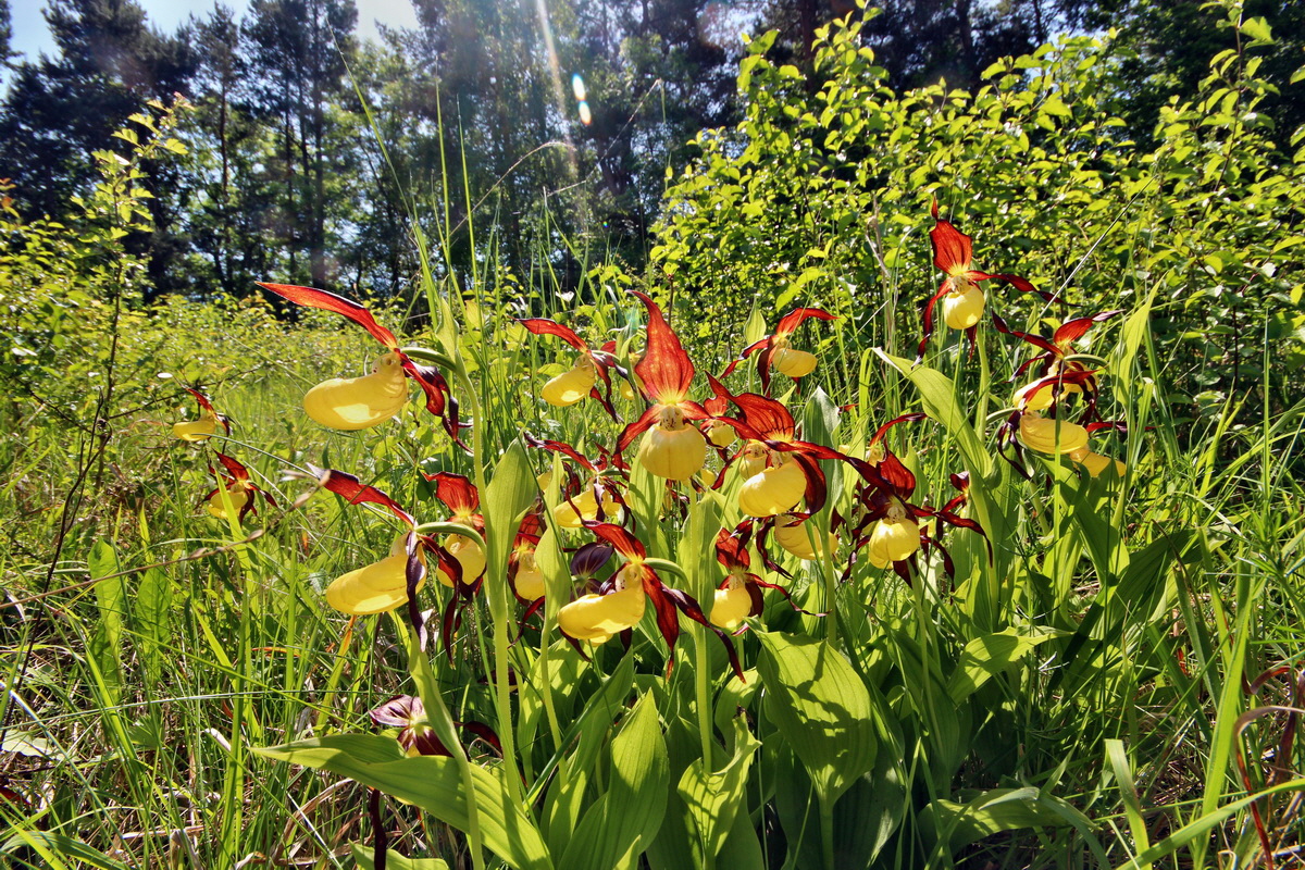 2014_05_22_00043582p_Bildgr��e �ndern