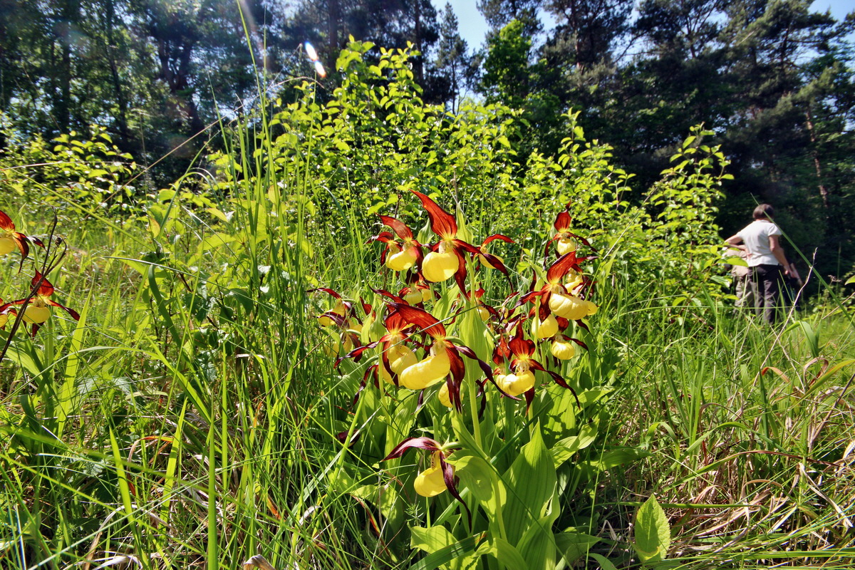 2014_05_22_00043585p_Bildgr��e �ndern