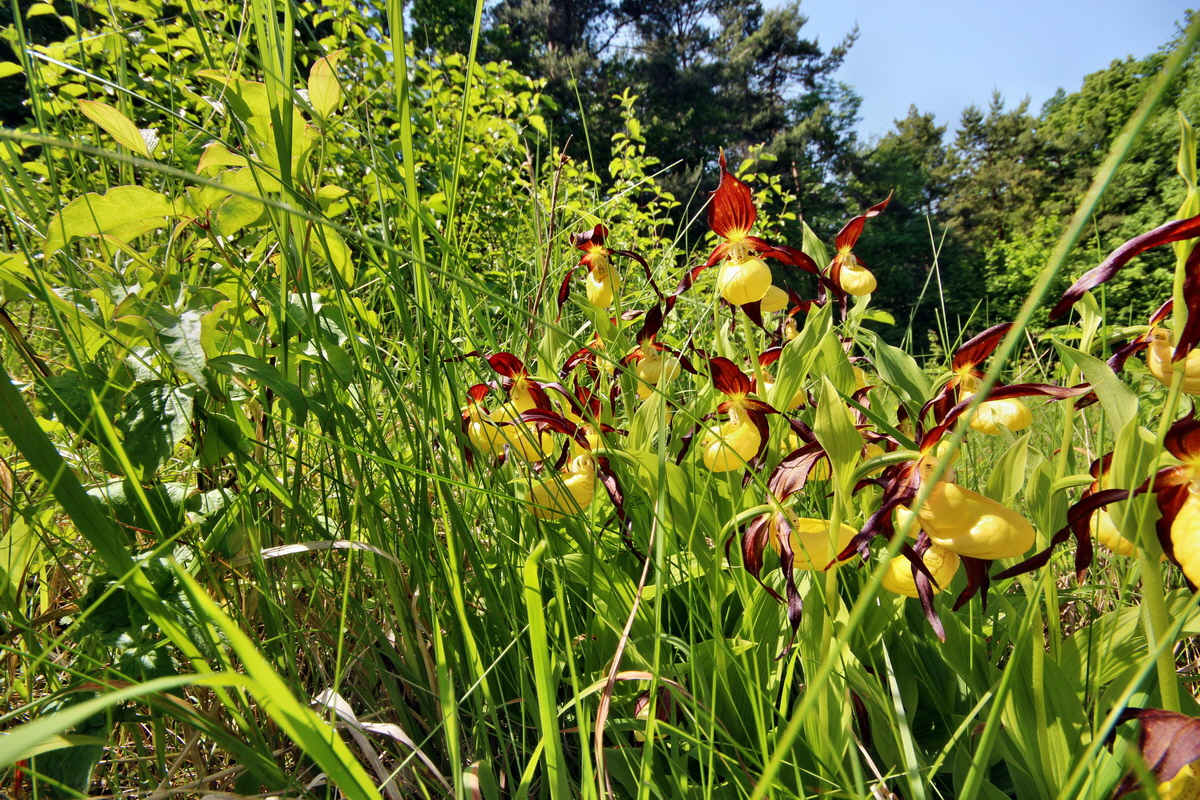 2014_05_22_00043589p_Bildgr��e �ndern