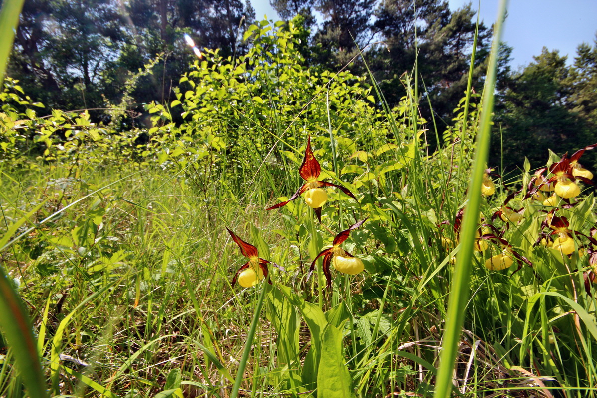 2014_05_22_00043592p_Bildgr��e �ndern