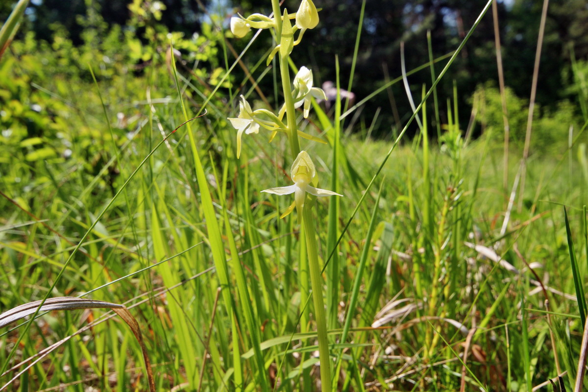 2014_05_22_00043600p_Bildgr��e �ndern