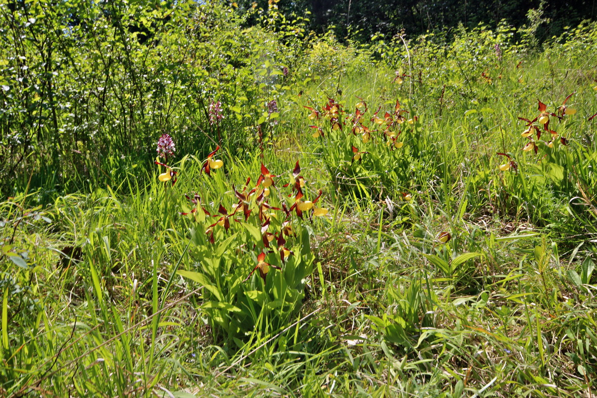 2014_05_22_00043604p_Bildgr��e �ndern