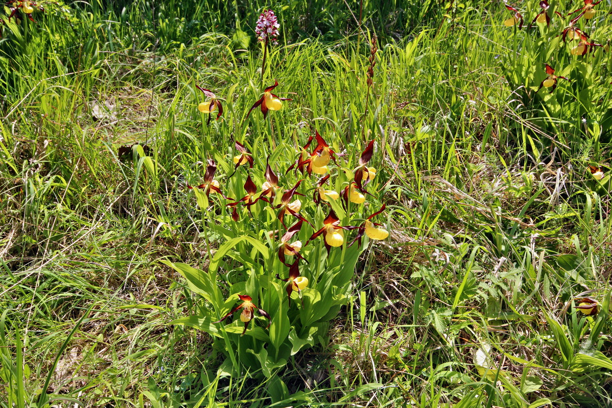 2014_05_22_00043623p_Bildgr��e �ndern