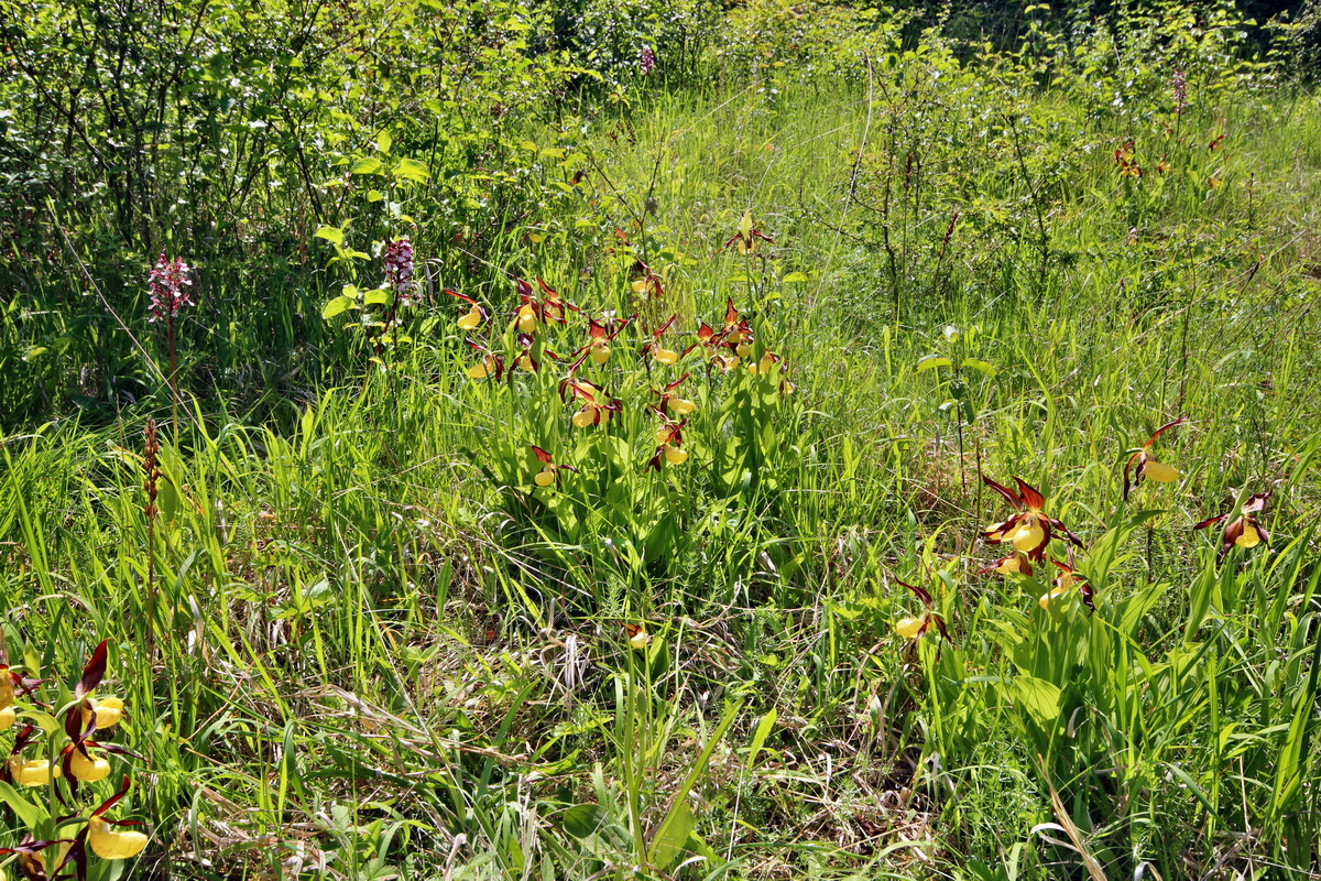 2014_05_22_00043625p_Bildgr��e �ndern