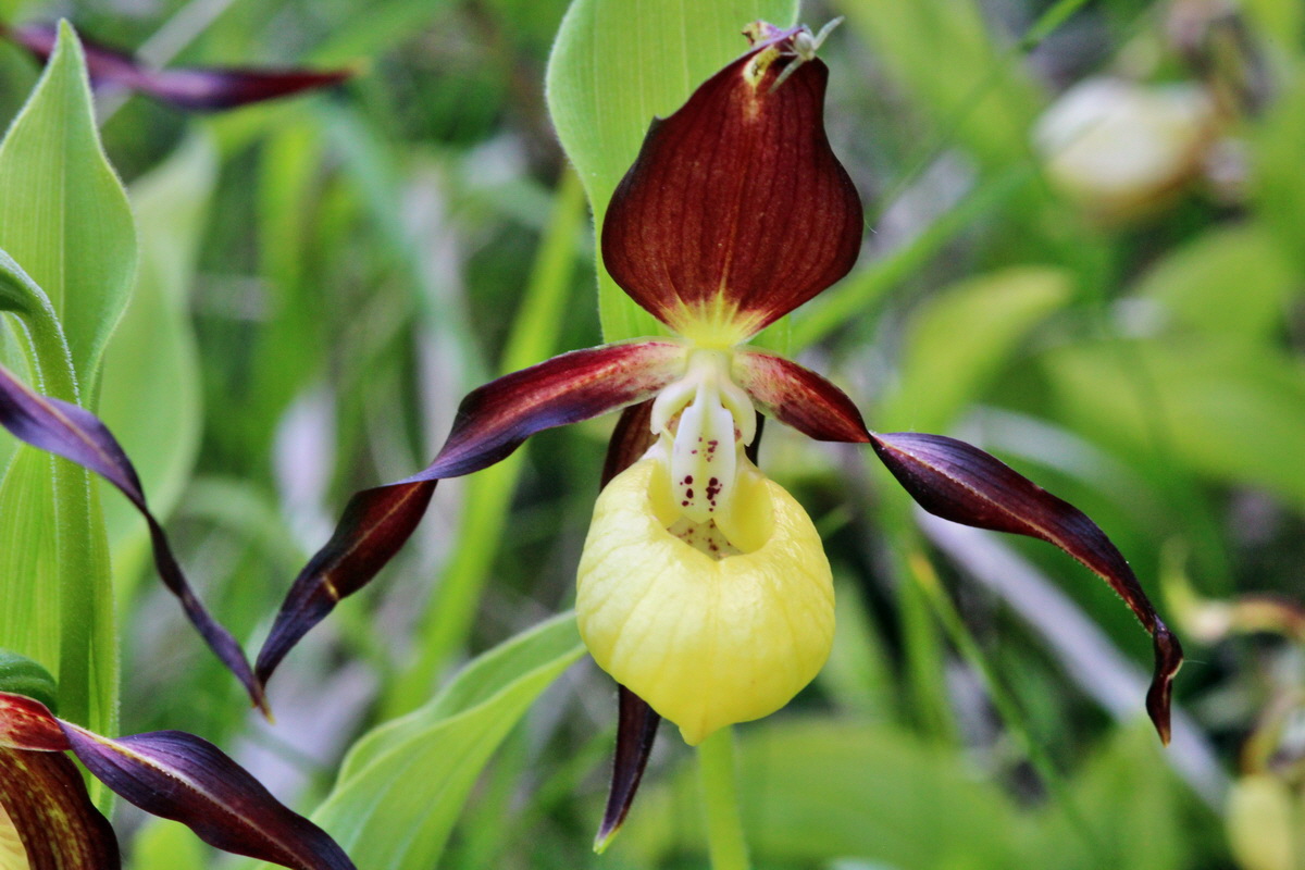 2014_05_22_00043638p_Bildgr��e �ndern