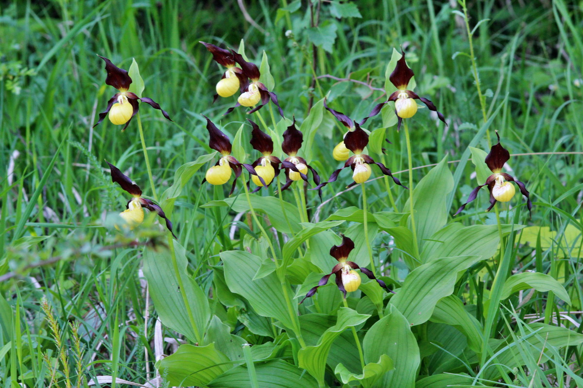 2014_05_22_00043641p_Bildgr��e �ndern