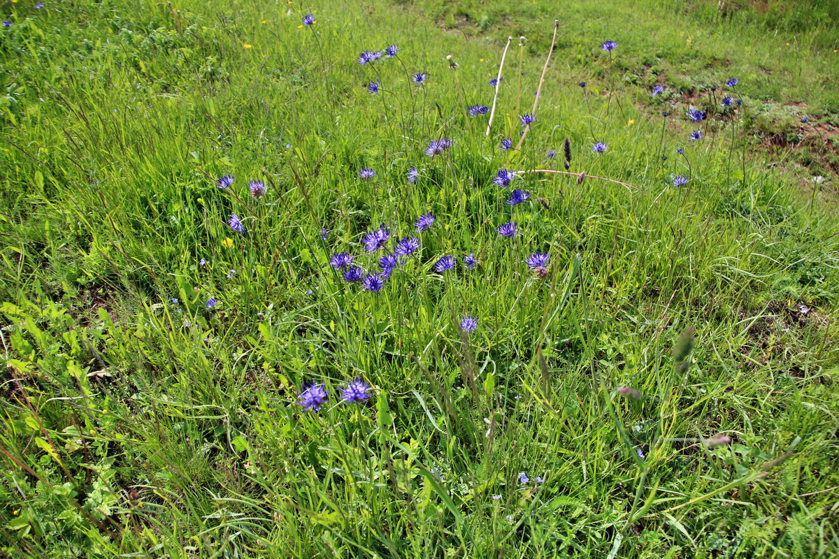 2014_05_25_00001534p_Bildgr��e �ndern