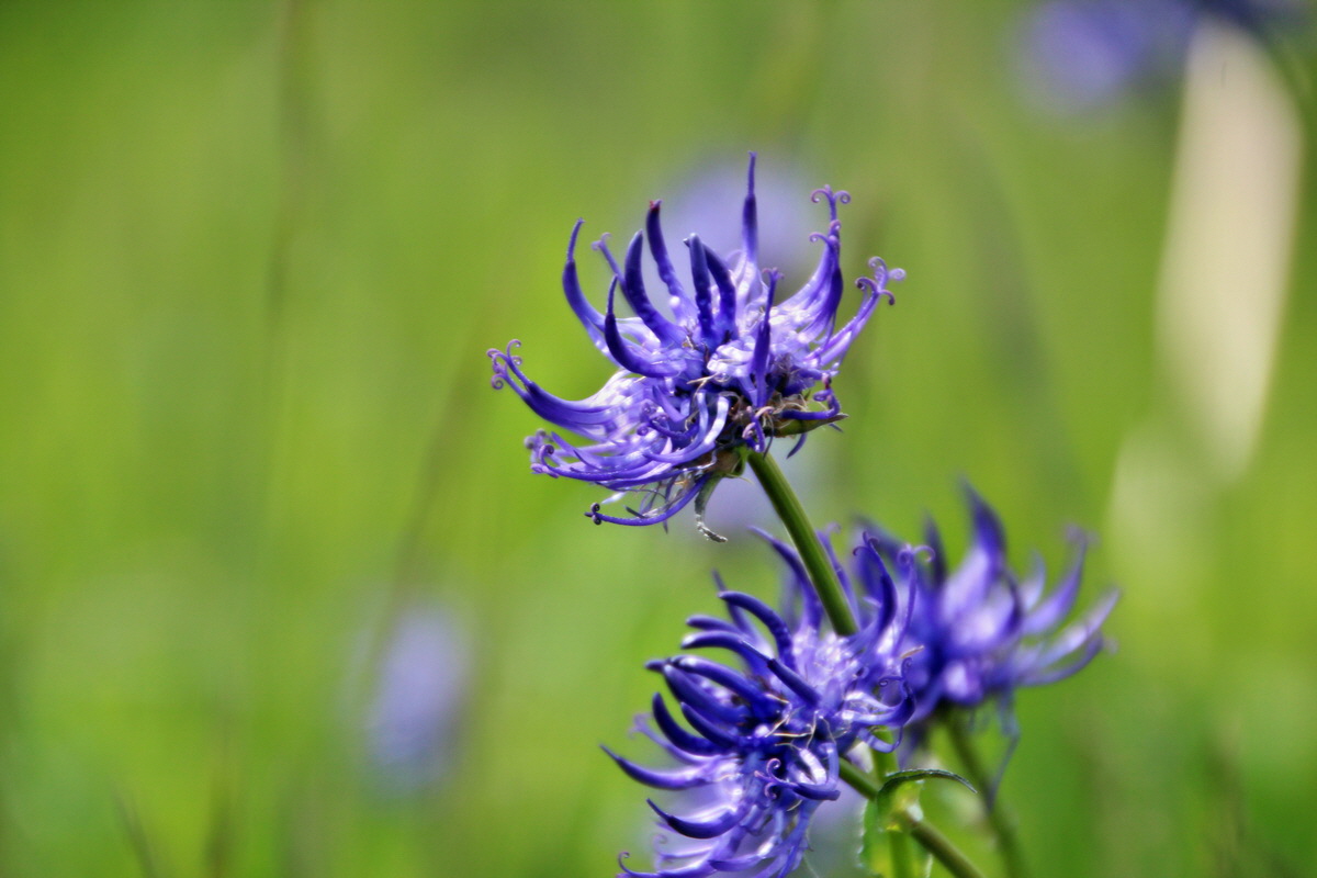 2014_05_25_00001541p_Bildgr��e �ndern