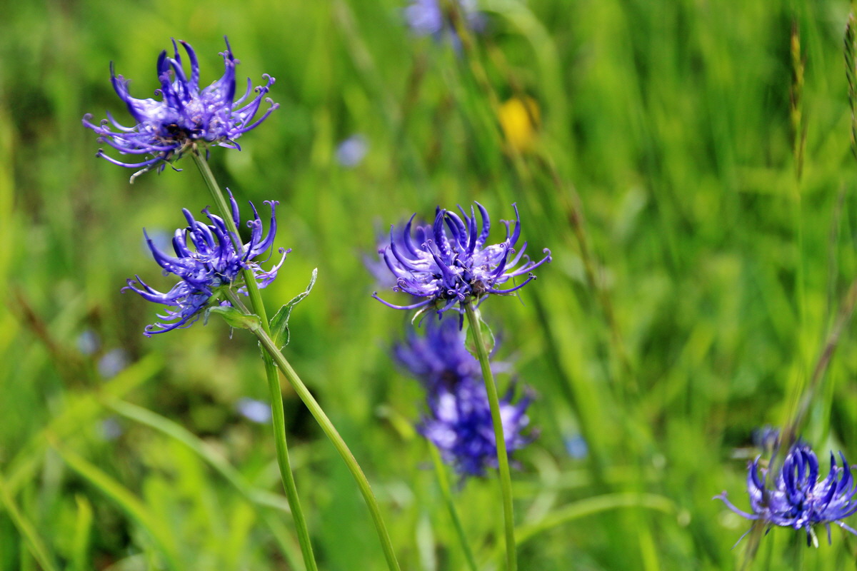 2014_05_25_00001547p_Bildgr��e �ndern