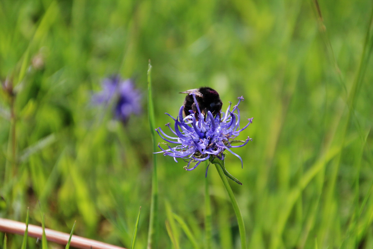 2014_05_25_00001553p_Bildgr��e �ndern