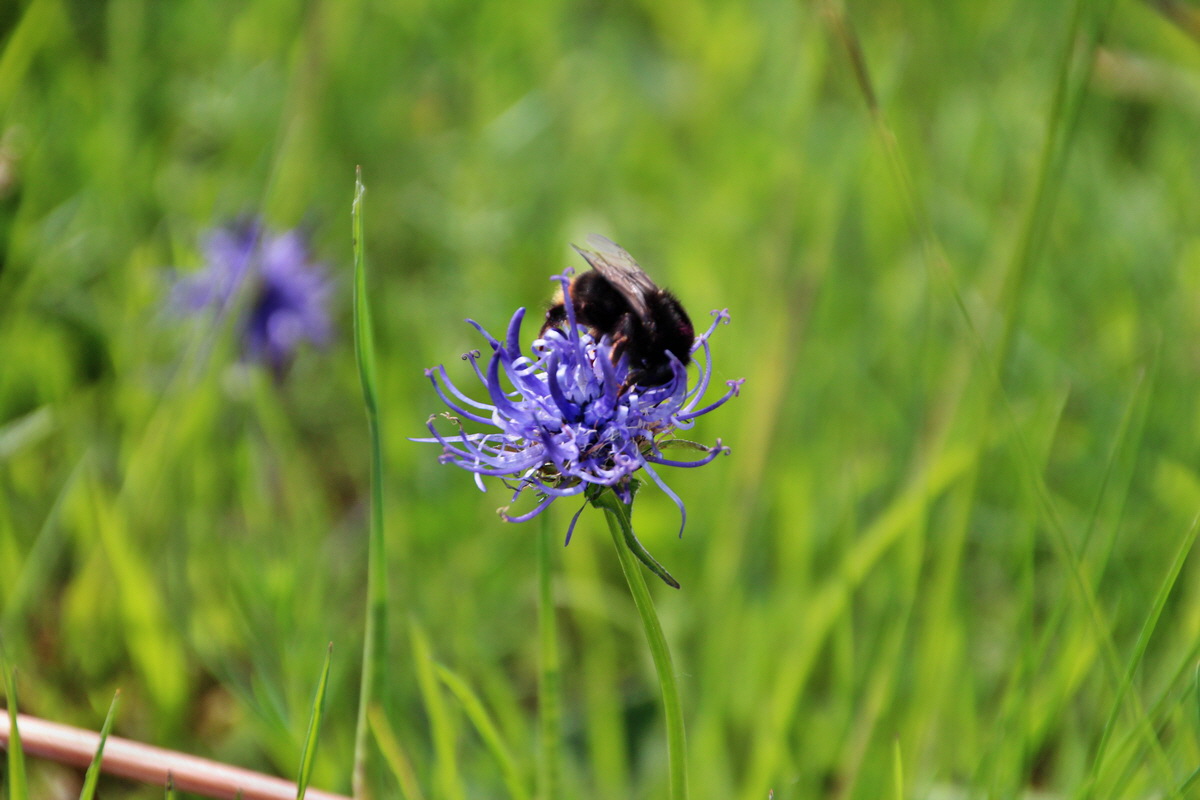 2014_05_25_00001559p_Bildgr��e �ndern