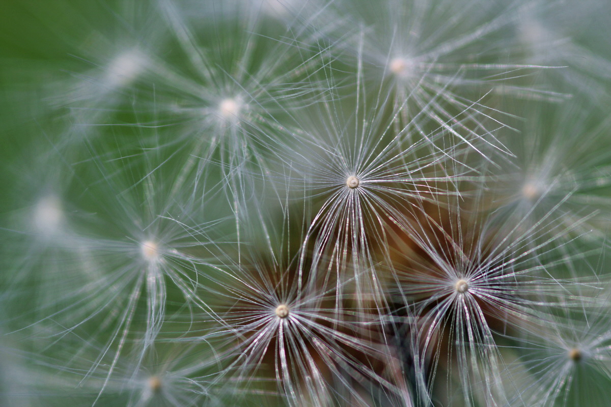 2014_05_25_00043655p_Bildgr��e �ndern