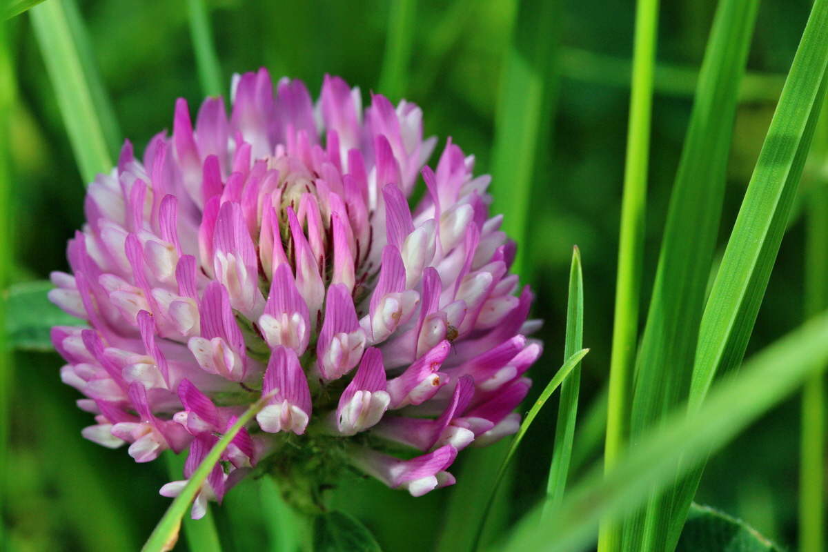 2014_05_25_00043662p_Bildgr��e �ndern