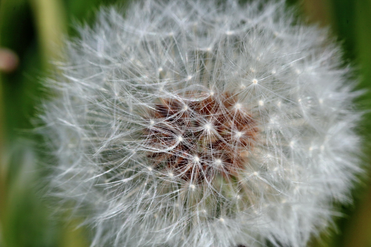 2014_05_25_00043671p_Bildgr��e �ndern