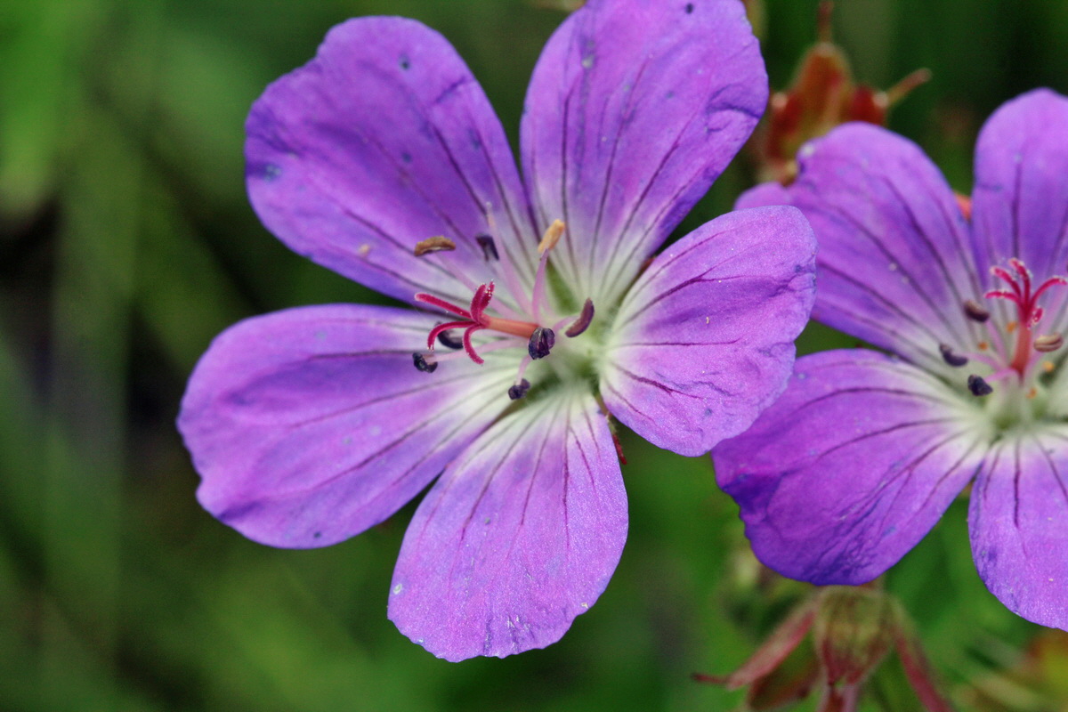 2014_05_25_00043685p_Bildgr��e �ndern