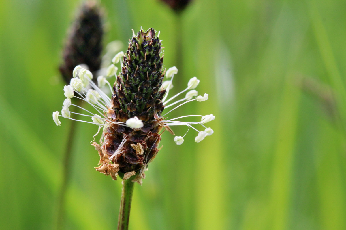 2014_05_25_00043696p_Bildgr��e �ndern