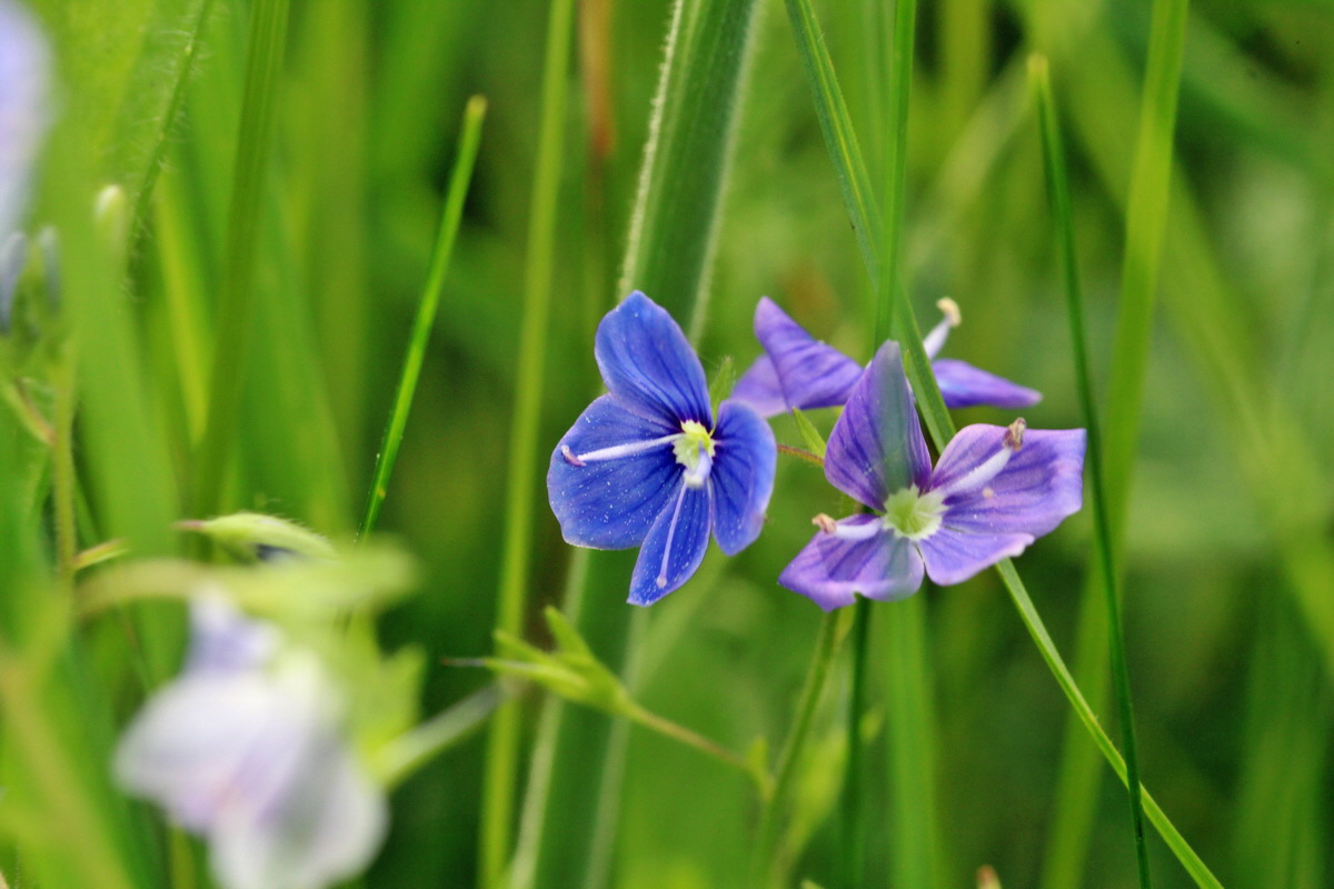 2014_05_25_00043723p_Bildgr��e �ndern