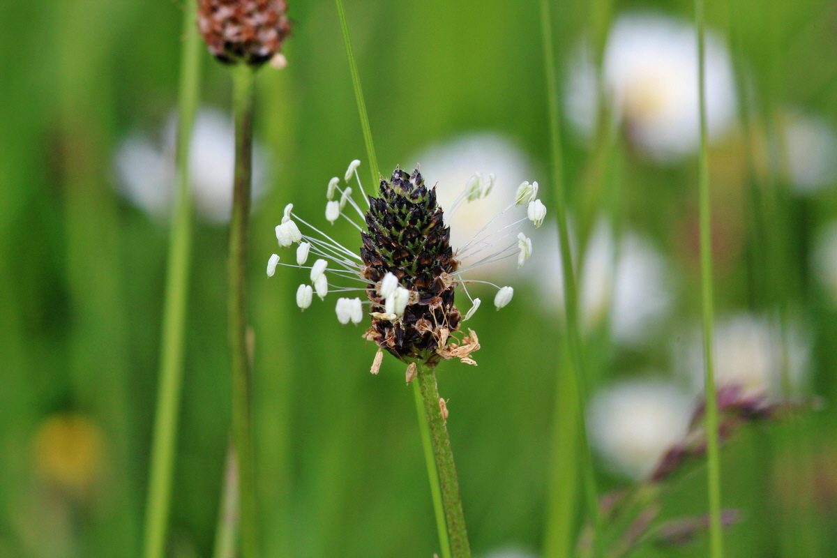 2014_05_25_00043730p_Bildgr��e �ndern