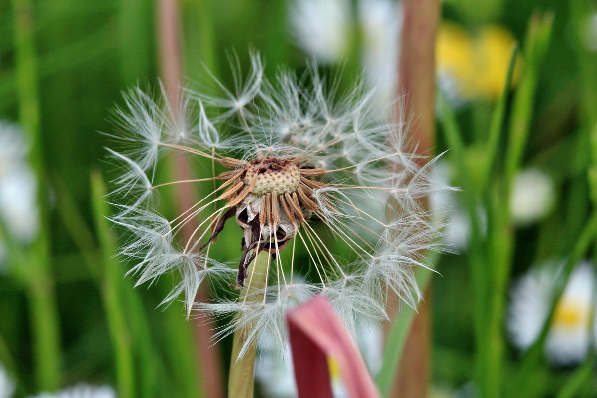 2014_05_25_00043737p_Bildgr��e �ndern