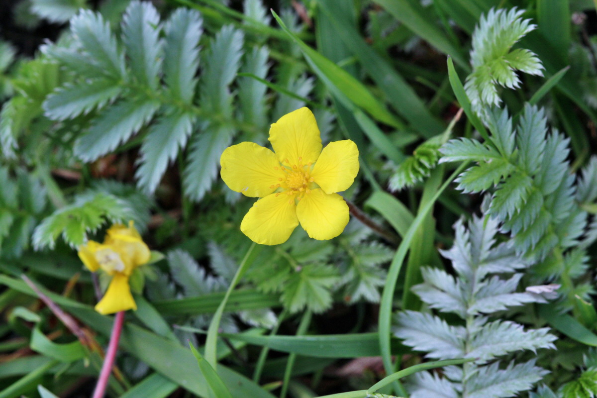 2014_05_25_00043745p_Bildgr��e �ndern