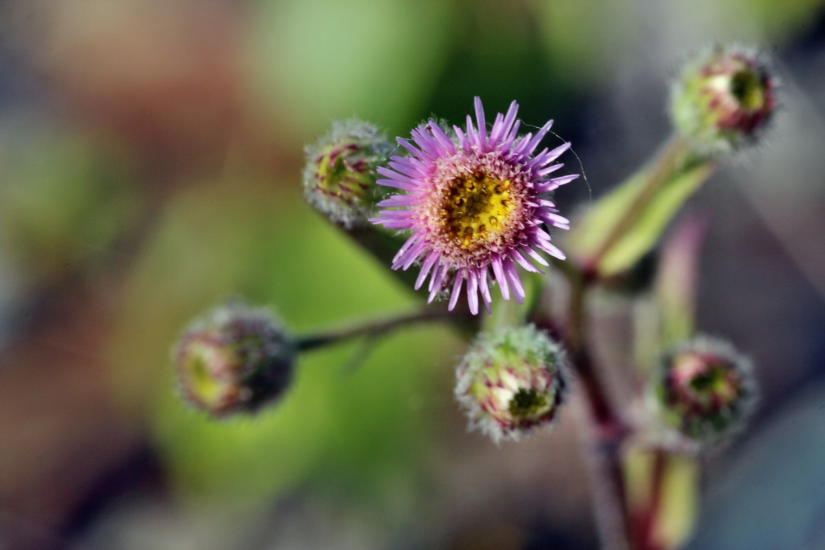 2014_05_26_00043756p_Bildgr��e �ndern