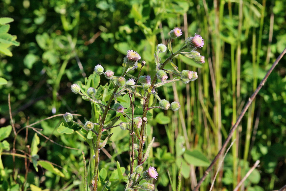 2014_05_26_00043766p_Bildgr��e �ndern