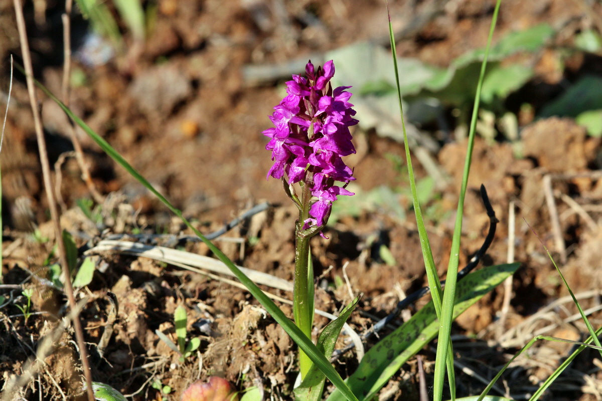 2014_05_26_00043776p_Bildgr��e �ndern