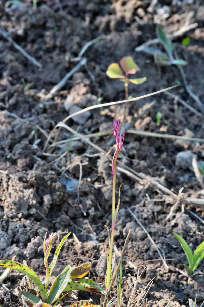 2014_05_26_00043781p_Bildgr��e �ndern