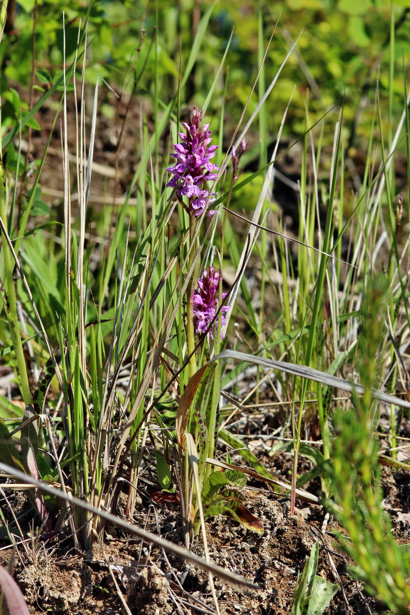 2014_05_26_00043785p_Bildgr��e �ndern